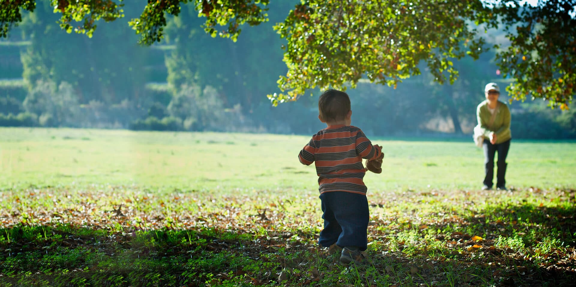 Bambini giocano su un prato all'ombra di un albero